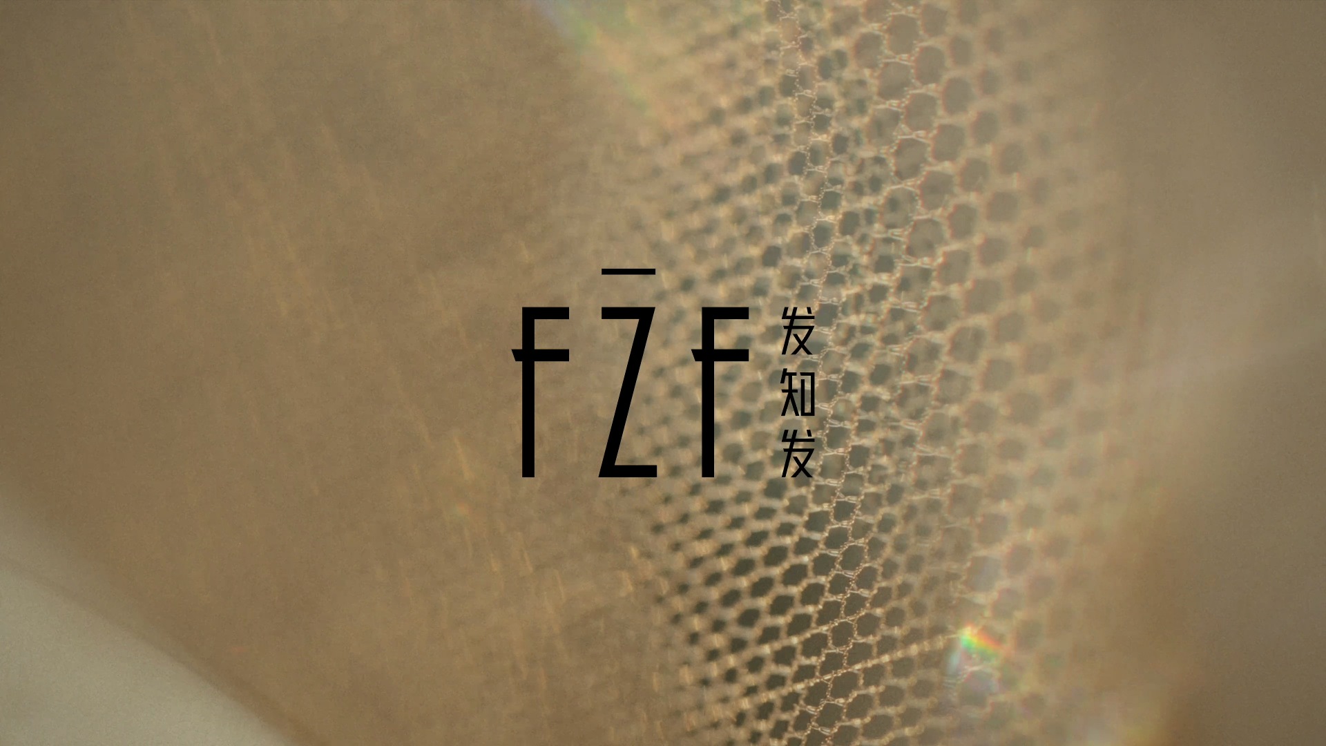 发知发·先导片
